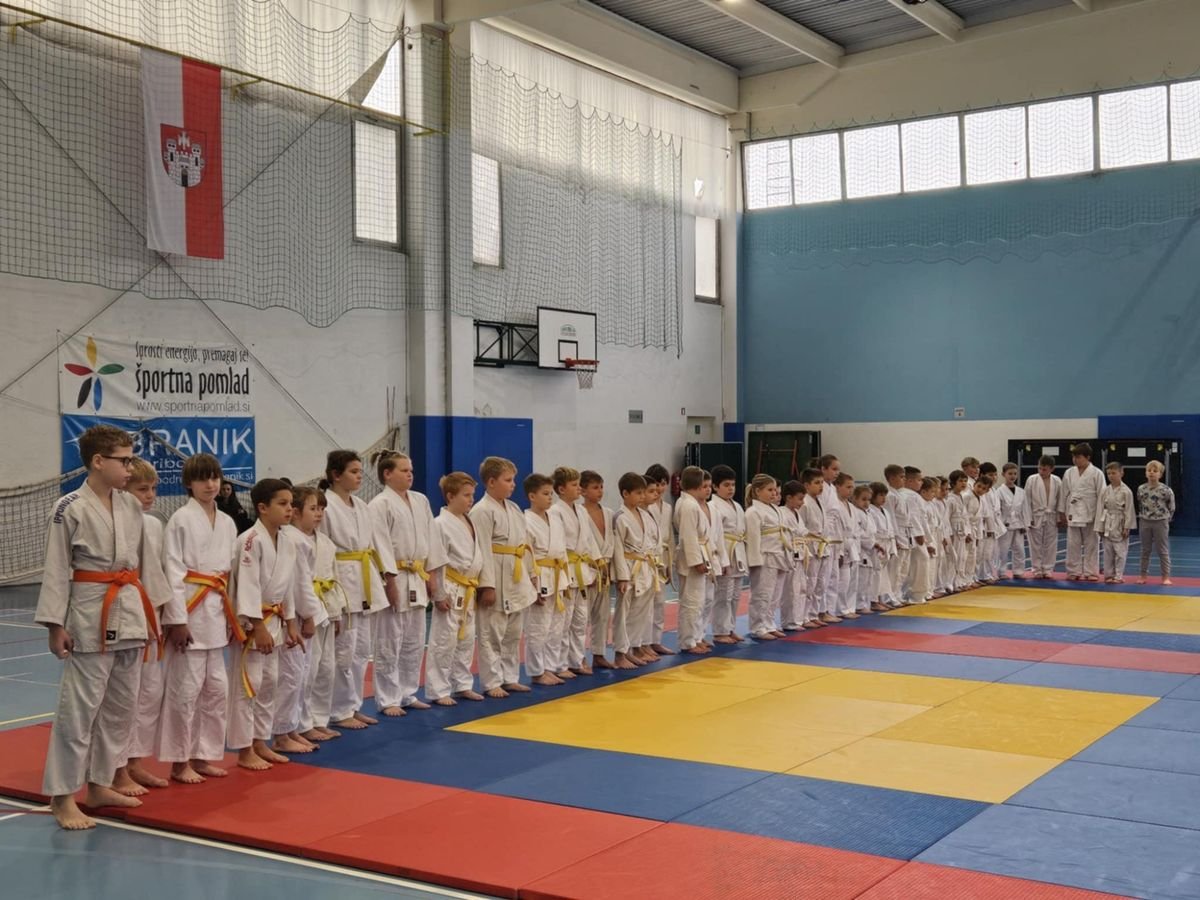 Judo tekmovanje